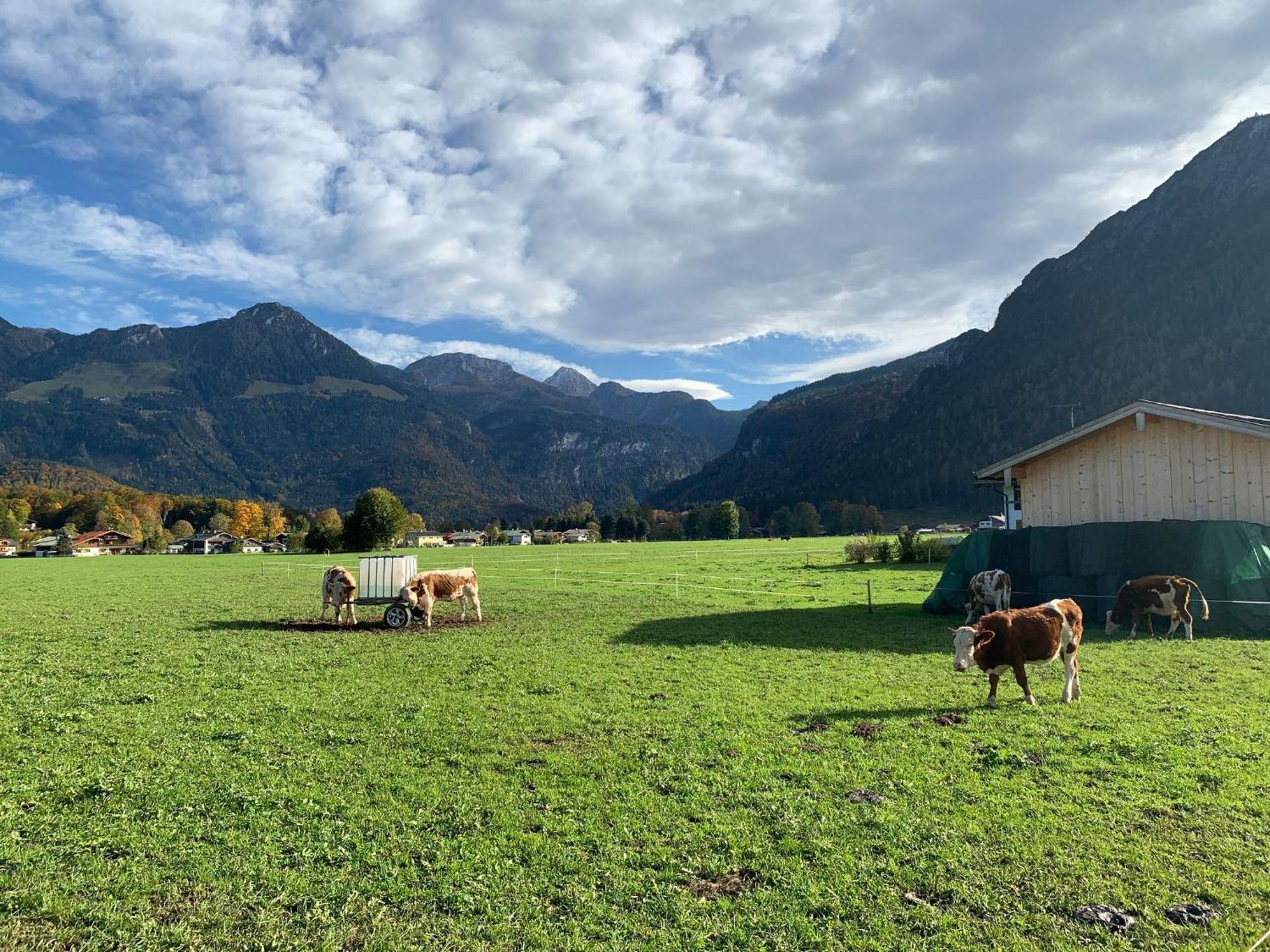 Ferienwohnung Hochkalterblick Schönau am Königssee Exterior foto